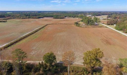 Photo of 73.35 Acres of Farm and Timber Land For Sale in Craven County NC!
