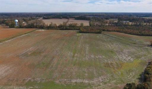 Photo of 73.35 Acres of Farm and Timber Land For Sale in Craven County NC!