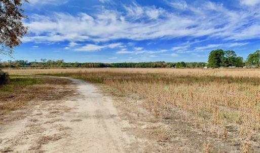 Photo of 73.35 Acres of Farm and Timber Land For Sale in Craven County NC!