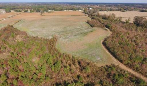 Photo of 73.35 Acres of Farm and Timber Land For Sale in Craven County NC!