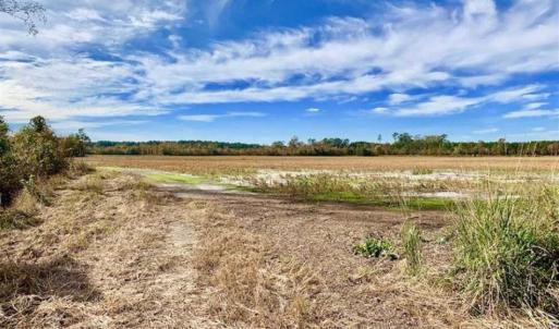 Photo of 73.35 Acres of Farm and Timber Land For Sale in Craven County NC!