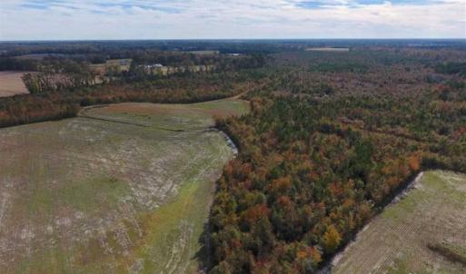 Photo of 73.35 Acres of Farm and Timber Land For Sale in Craven County NC!