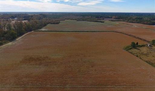 Photo of 73.35 Acres of Farm and Timber Land For Sale in Craven County NC!