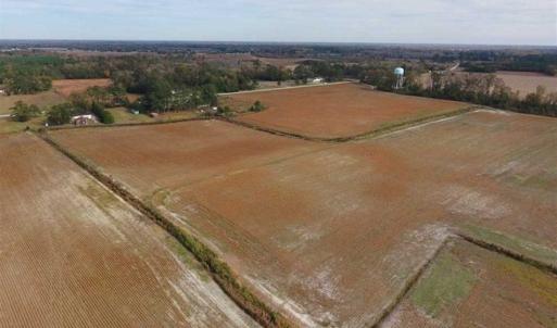 Photo of 73.35 Acres of Farm and Timber Land For Sale in Craven County NC!