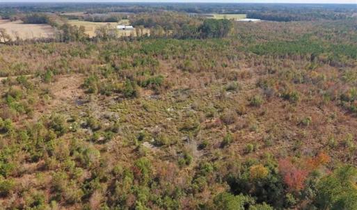 Photo of 73.35 Acres of Farm and Timber Land For Sale in Craven County NC!
