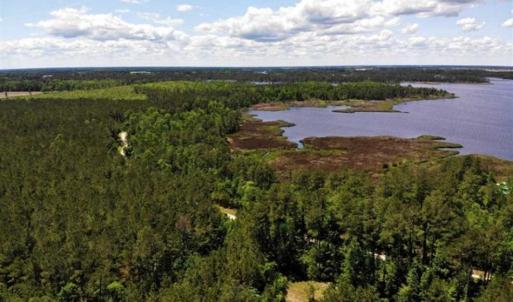 Photo of 5.6 Acres of Waterfront Hunting Fishing and Residential Land for Sale in Pamlico County NC!