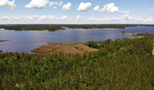 Photo of 5.6 Acres of Waterfront Hunting Fishing and Residential Land for Sale in Pamlico County NC!