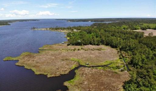 Photo of 5.6 Acres of Waterfront Hunting Fishing and Residential Land for Sale in Pamlico County NC!