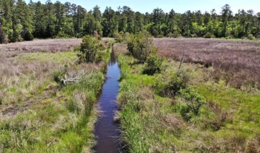 Photo of 5.6 Acres of Waterfront Hunting Fishing and Residential Land for Sale in Pamlico County NC!