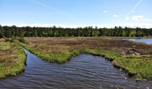 Photo of 5.6 Acres of Waterfront Hunting Fishing and Residential Land for Sale in Pamlico County NC!