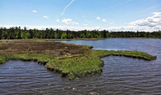 Photo of 5.6 Acres of Waterfront Hunting Fishing and Residential Land for Sale in Pamlico County NC!