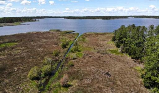 Photo of 5.6 Acres of Waterfront Hunting Fishing and Residential Land for Sale in Pamlico County NC!