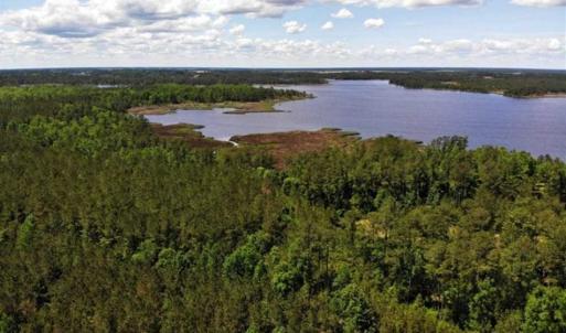 Photo of 5.6 Acres of Waterfront Hunting Fishing and Residential Land for Sale in Pamlico County NC!