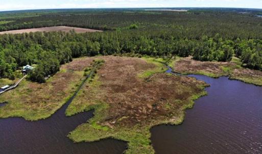 Photo of 5.6 Acres of Waterfront Hunting Fishing and Residential Land for Sale in Pamlico County NC!