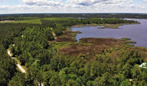Photo of 5.6 Acres of Waterfront Hunting Fishing and Residential Land for Sale in Pamlico County NC!