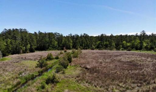 Photo of 5.6 Acres of Waterfront Hunting Fishing and Residential Land for Sale in Pamlico County NC!