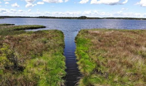 Photo of 5.6 Acres of Waterfront Hunting Fishing and Residential Land for Sale in Pamlico County NC!