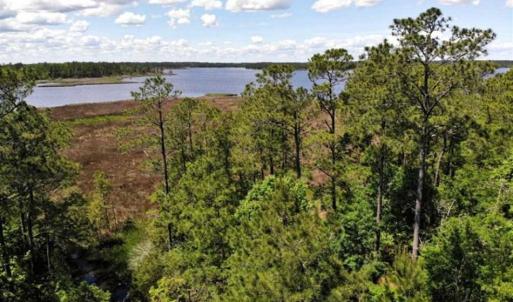 Photo of 5.6 Acres of Waterfront Hunting Fishing and Residential Land for Sale in Pamlico County NC!