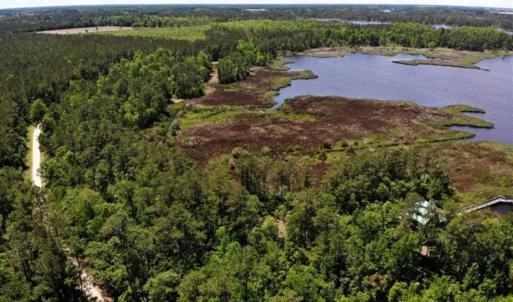 Photo of 5.6 Acres of Waterfront Hunting Fishing and Residential Land for Sale in Pamlico County NC!