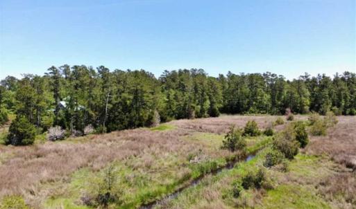 Photo of 5.6 Acres of Waterfront Hunting Fishing and Residential Land for Sale in Pamlico County NC!