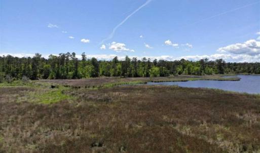 Photo of 5.6 Acres of Waterfront Hunting Fishing and Residential Land for Sale in Pamlico County NC!