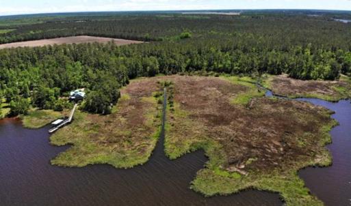 Photo of 5.6 Acres of Waterfront Hunting Fishing and Residential Land for Sale in Pamlico County NC!