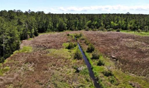 Photo of 5.6 Acres of Waterfront Hunting Fishing and Residential Land for Sale in Pamlico County NC!