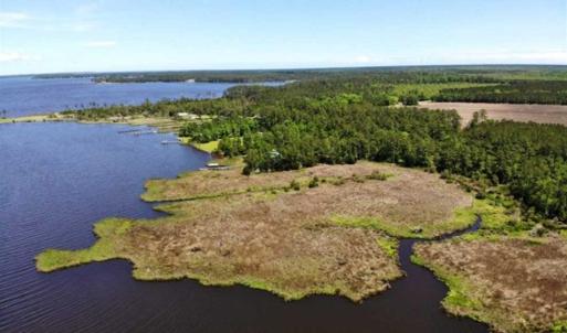 Photo of 5.6 Acres of Waterfront Hunting Fishing and Residential Land for Sale in Pamlico County NC!