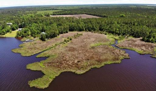 Photo of 5.6 Acres of Waterfront Hunting Fishing and Residential Land for Sale in Pamlico County NC!
