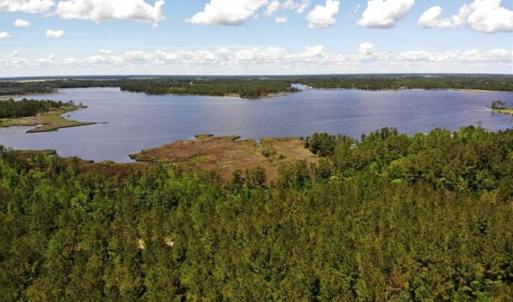Photo of 5.6 Acres of Waterfront Hunting Fishing and Residential Land for Sale in Pamlico County NC!