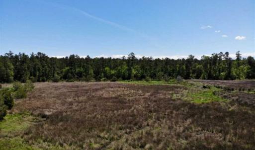 Photo of 5.6 Acres of Waterfront Hunting Fishing and Residential Land for Sale in Pamlico County NC!