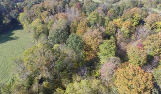 Photo of 30.79 Acres of Recreational Land For Sale in Lunenburg County VA!