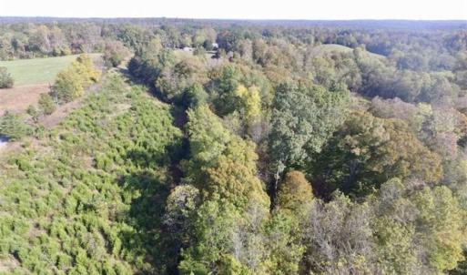Photo of 30.79 Acres of Recreational Land For Sale in Lunenburg County VA!