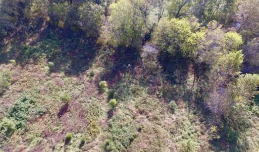 Photo of 30.79 Acres of Recreational Land For Sale in Lunenburg County VA!