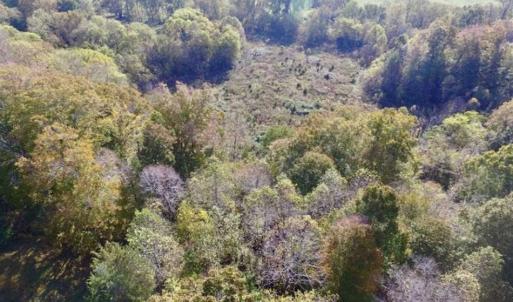 Photo of 30.79 Acres of Recreational Land For Sale in Lunenburg County VA!