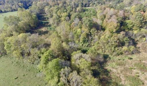 Photo of 30.79 Acres of Recreational Land For Sale in Lunenburg County VA!