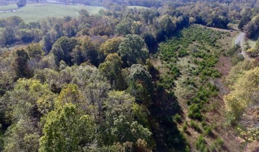 Photo of 30.79 Acres of Recreational Land For Sale in Lunenburg County VA!