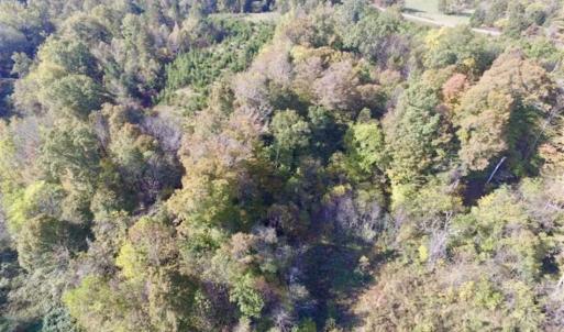 Photo of 30.79 Acres of Recreational Land For Sale in Lunenburg County VA!