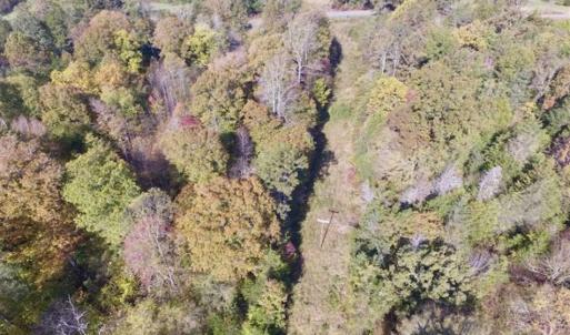 Photo of 30.79 Acres of Recreational Land For Sale in Lunenburg County VA!