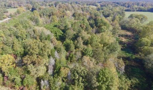 Photo of 30.79 Acres of Recreational Land For Sale in Lunenburg County VA!