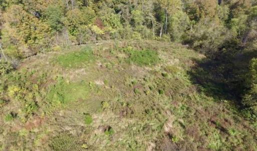 Photo of 30.79 Acres of Recreational Land For Sale in Lunenburg County VA!