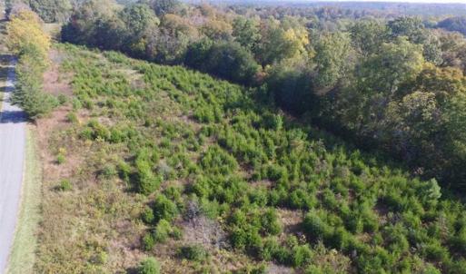 Photo of 30.79 Acres of Recreational Land For Sale in Lunenburg County VA!