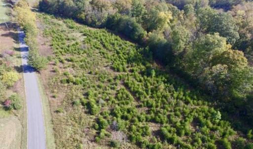 Photo of 30.79 Acres of Recreational Land For Sale in Lunenburg County VA!