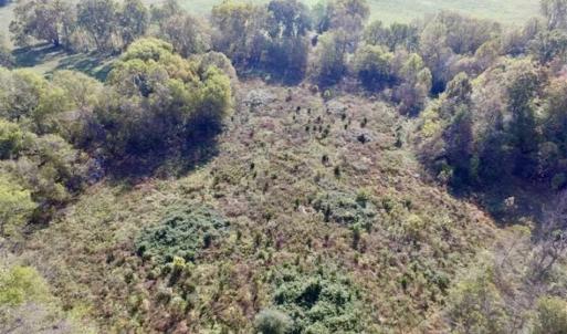 Photo of 30.79 Acres of Recreational Land For Sale in Lunenburg County VA!