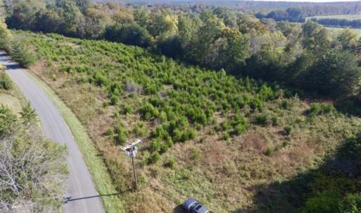 Photo of 30.79 Acres of Recreational Land For Sale in Lunenburg County VA!