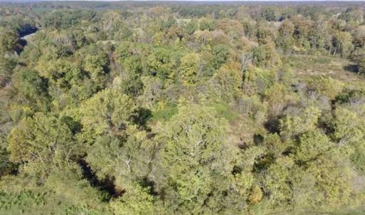 Photo of 30.79 Acres of Recreational Land For Sale in Lunenburg County VA!