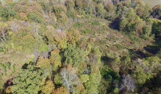 Photo of 30.79 Acres of Recreational Land For Sale in Lunenburg County VA!
