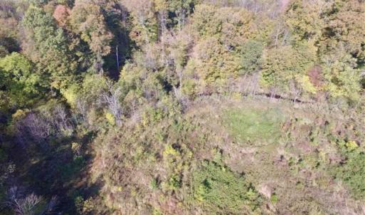 Photo of 30.79 Acres of Recreational Land For Sale in Lunenburg County VA!