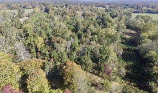 Photo of 30.79 Acres of Recreational Land For Sale in Lunenburg County VA!