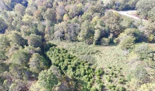 Photo of 30.79 Acres of Recreational Land For Sale in Lunenburg County VA!